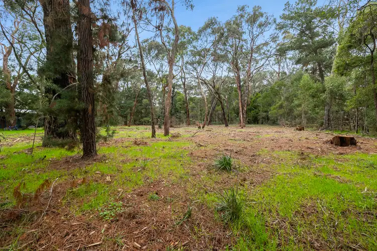 Third view of Homely rural property listing, LOT 4, 5 Mahers Road, Barwon Downs VIC 3243