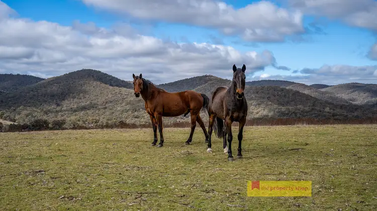 Sixth view of Homely rural property listing, 5972 Sofala Road, Mudgee NSW 2850