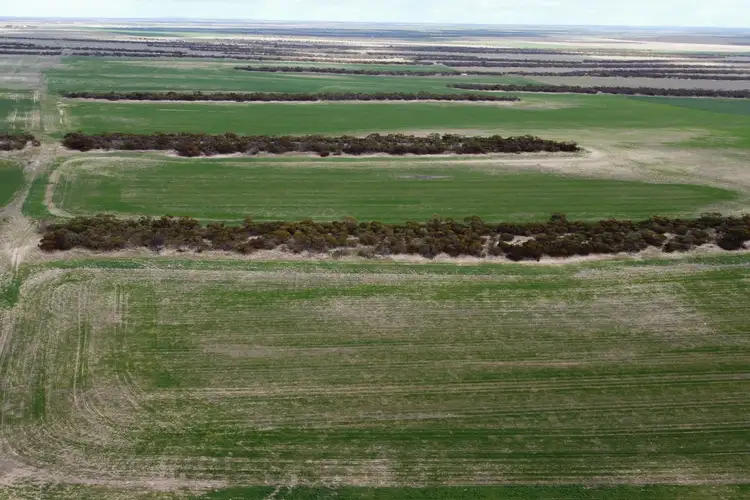 Fifth view of Homely land listing, 1127 Rangeview Road, Darke Peak SA 5642