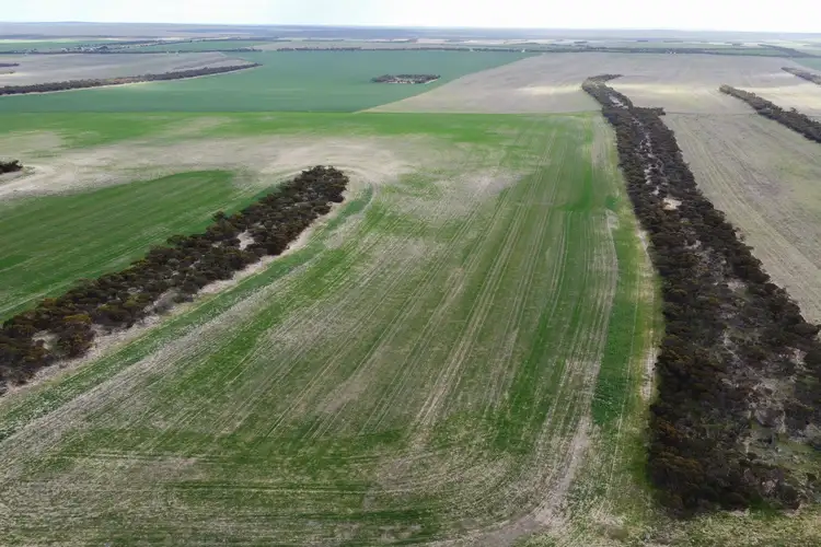 Sixth view of Homely land listing, 1127 Rangeview Road, Darke Peak SA 5642