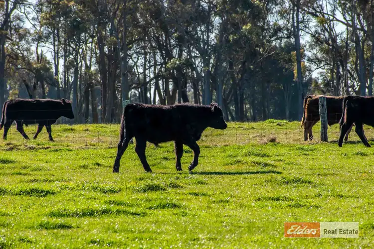 Main view of Homely rural property listing, Lot 637 Plumer Road, Mount Barker WA 6324