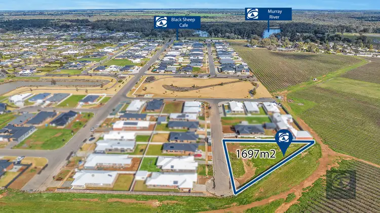 9 Spoonbill Street, Moama NSW 2731