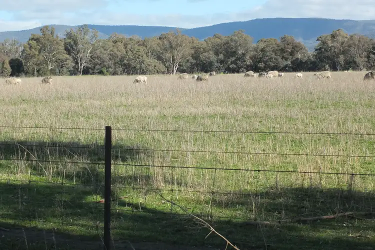 Fifth view of Homely rural property listing, 2/TP744688 Vinoca Road, Avoca VIC 3467