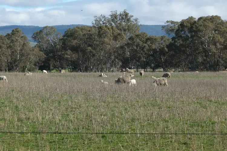 Seventh view of Homely rural property listing, 2/TP744688 Vinoca Road, Avoca VIC 3467