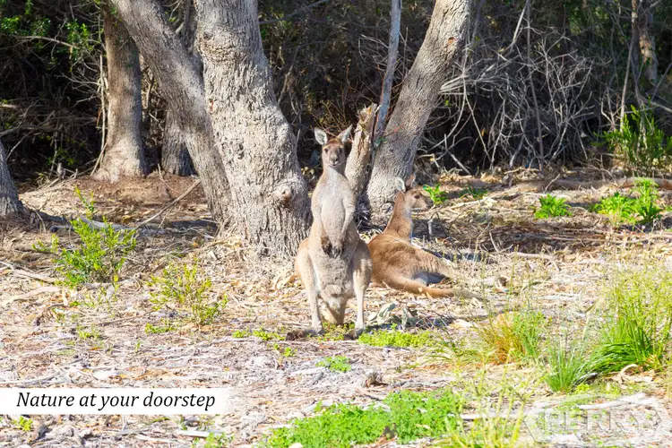 Sixth view of Homely land listing, 16 Laverton Rise, Dawesville WA 6211
