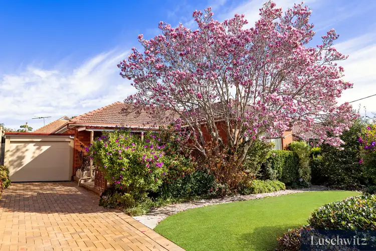 Main view of Homely house listing, 12 Olga Street, Chatswood NSW 2067