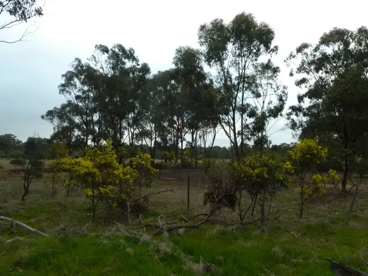 Sixth view of Homely rural property listing, Lot 50 Wedderburn Junction East-Fiery Flat Road, Wedderburn VIC 3518
