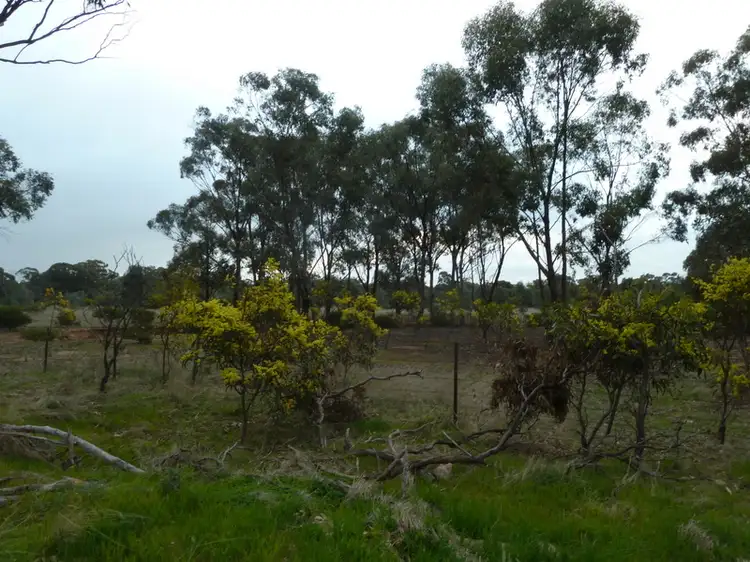 Seventh view of Homely rural property listing, Lot 50 Wedderburn Junction East-Fiery Flat Road, Wedderburn VIC 3518