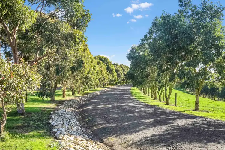 Sixth view of Homely rural property listing, 118 Kelly & Mosses Road, Korumburra VIC 3950
