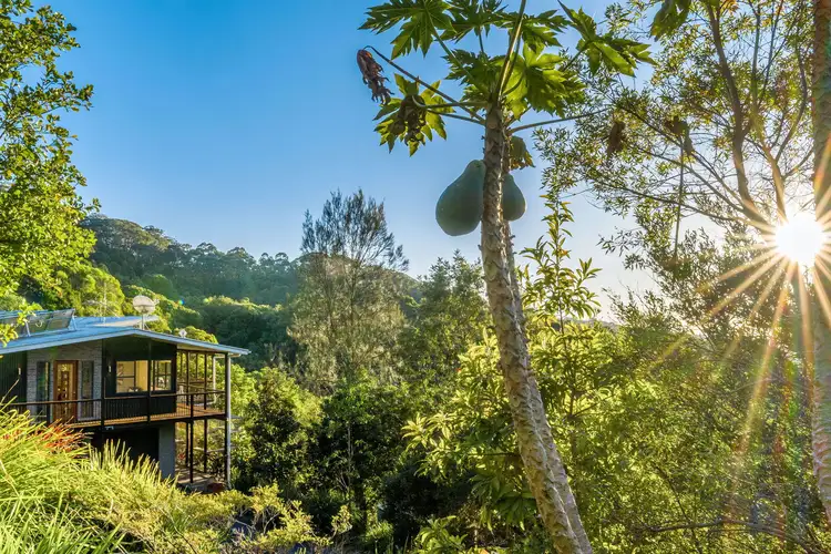 590 Clothiers Creek Road, Clothiers Creek NSW 2484
