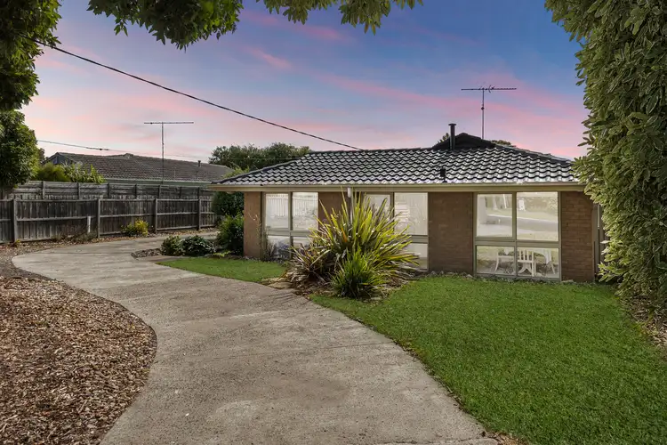 8 Edith Court, Belmont VIC 3216
