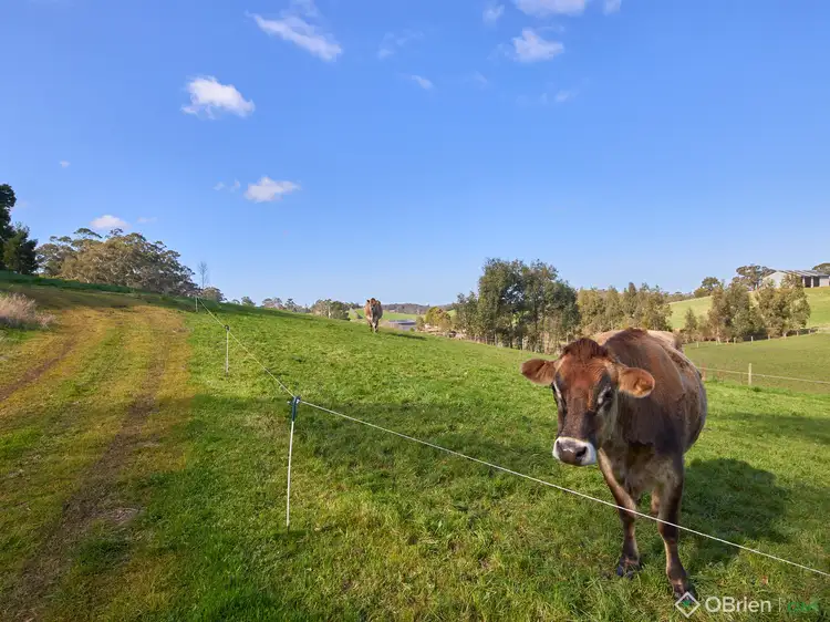 Sixth view of Homely land listing, 60 McDougal Road, Neerim South VIC 3831