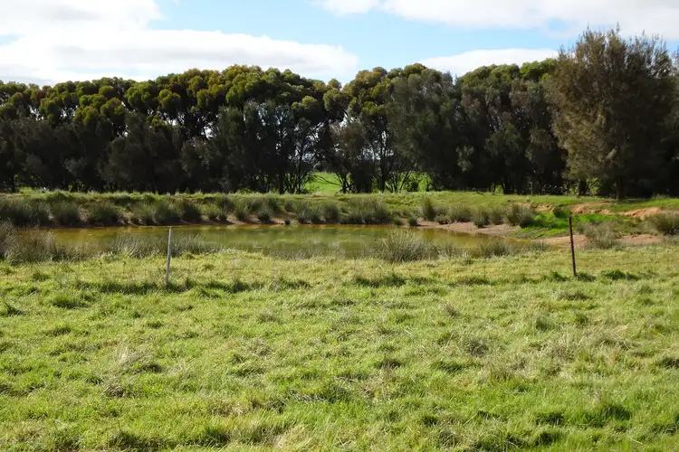 Sixth view of Homely rural property listing, 3428 Williams-Kondinin Road, Narrogin Valley WA 6312