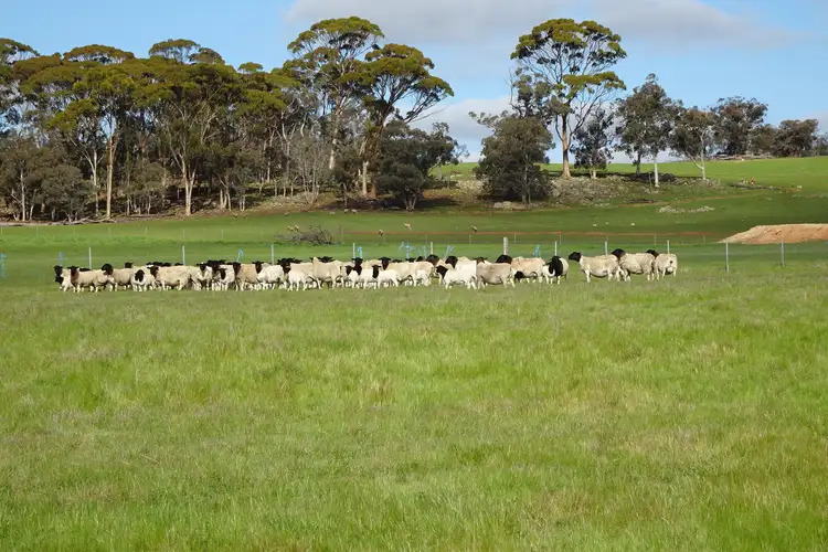 Seventh view of Homely rural property listing, 3428 Williams-Kondinin Road, Narrogin Valley WA 6312
