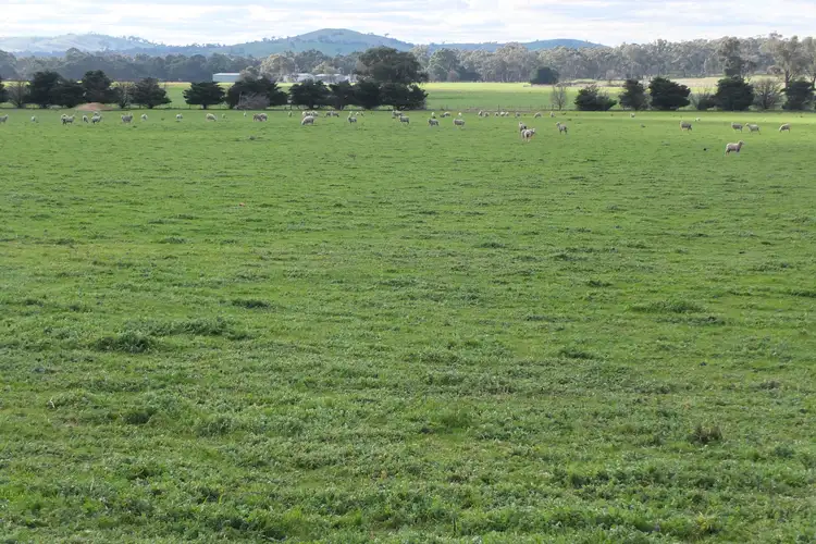 105a Wareek Road, Wareek VIC 3465