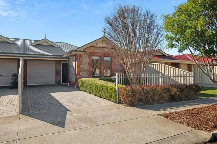 19 Allison Street, Ascot Park SA 5043