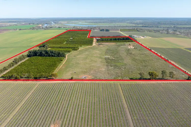 Third view of Homely rural property listing, 1167 Bookpurnong Road, Loxton SA 5333