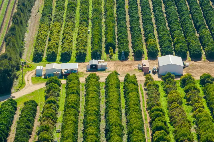 Fourth view of Homely rural property listing, 1167 Bookpurnong Road, Loxton SA 5333