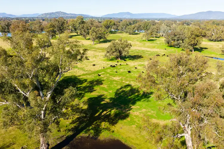 Fourth view of Homely rural property listing, 185 Hawkscote Road, Albury NSW 2640