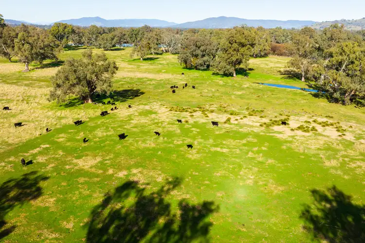 Fifth view of Homely rural property listing, 185 Hawkscote Road, Albury NSW 2640