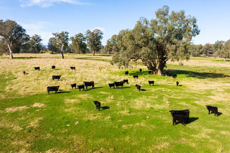 Sixth view of Homely rural property listing, 185 Hawkscote Road, Albury NSW 2640