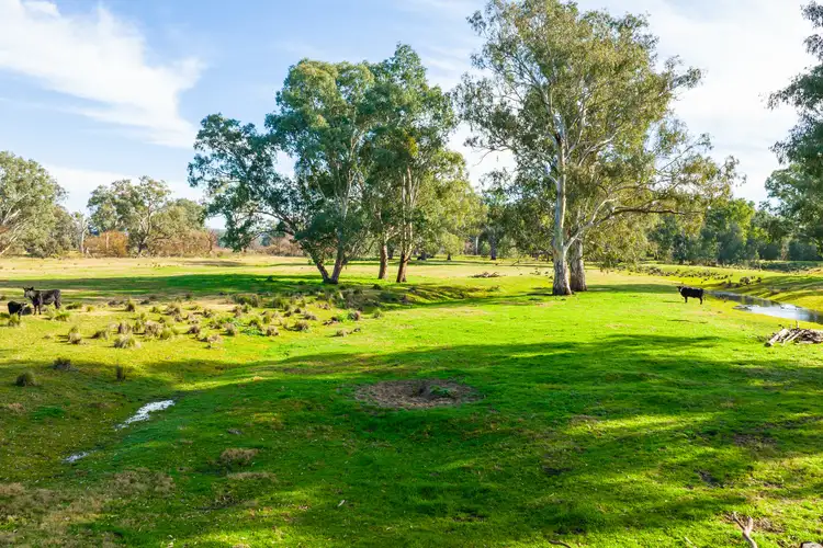Seventh view of Homely rural property listing, 185 Hawkscote Road, Albury NSW 2640