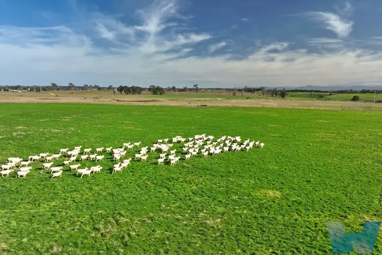 Third view of Homely rural property listing, 65 Baudinetts Road, Hillside VIC 3875