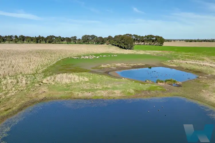 Fifth view of Homely rural property listing, 65 Baudinetts Road, Hillside VIC 3875