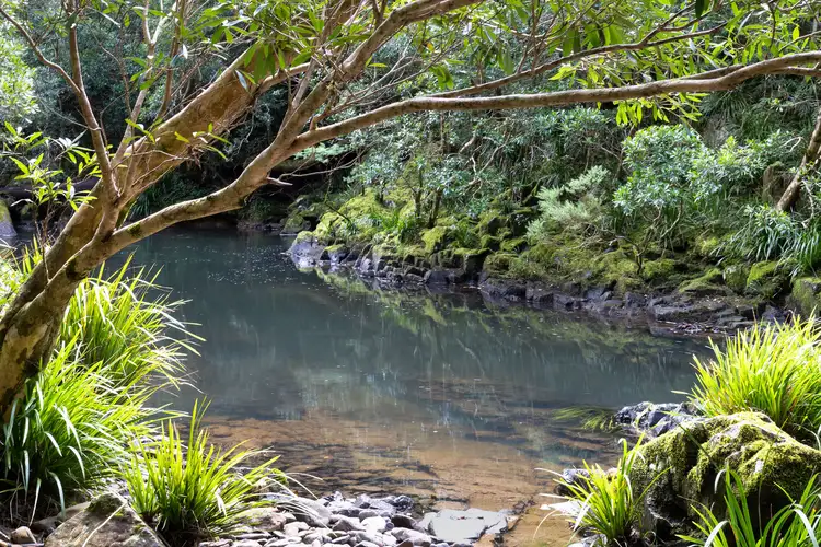 Main view of Homely rural property listing, 40 Frog Hollow Forest Road, Ulong NSW 2450