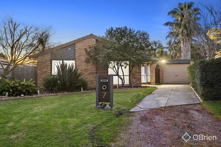 Main view of Homely house listing, 7 Montrose Court, Endeavour Hills VIC 3802