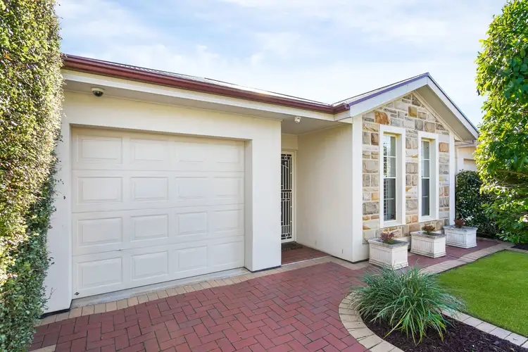3 Cobham Avenue, Morphettville SA 5043
