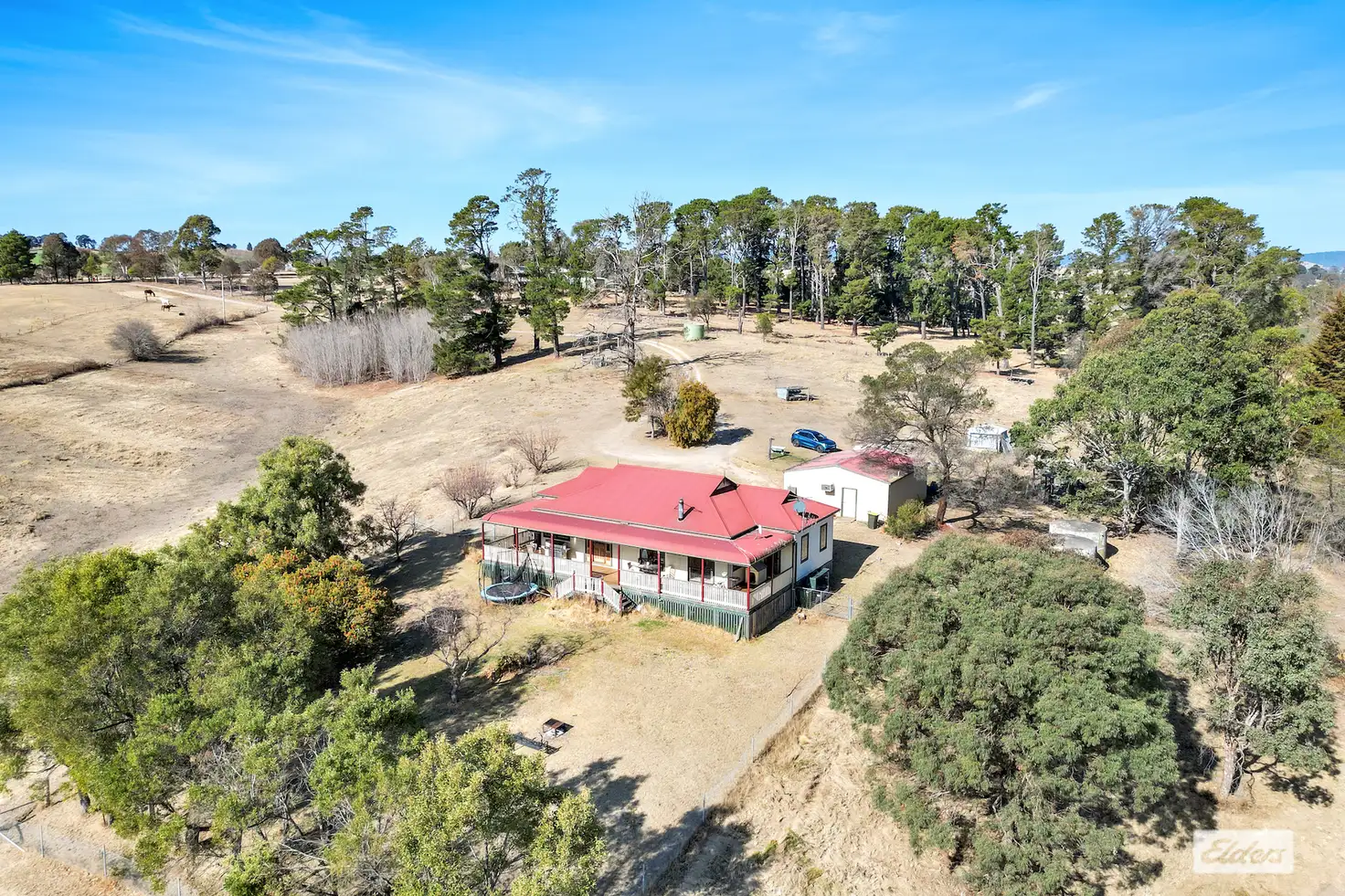 Main view of Homely rural property listing, 42 Springfield Road, Kameruka NSW 2550