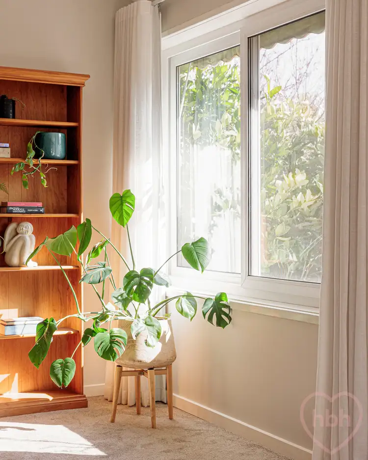 Sixth view of Homely house listing, 61 Sherbrooke Street, Ainslie ACT 2602