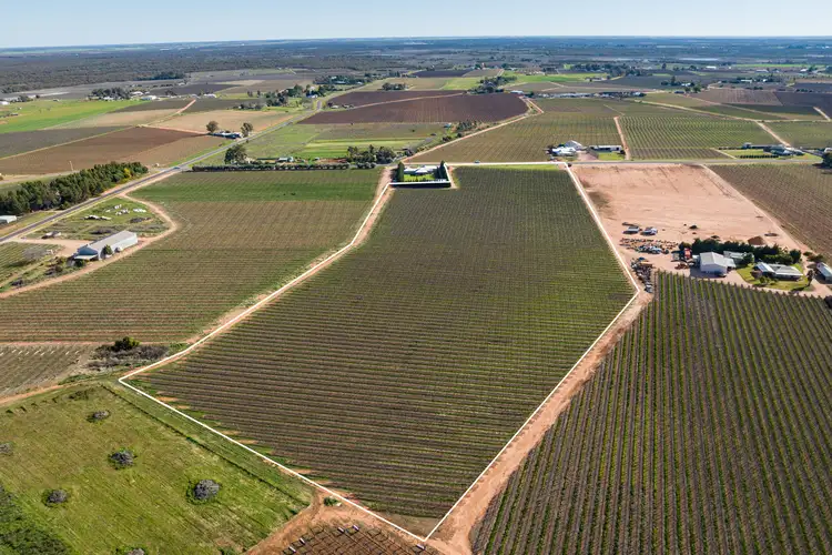 Second view of Homely rural property listing, Block 561 Dairtnunk Avenue, Cardross VIC 3496
