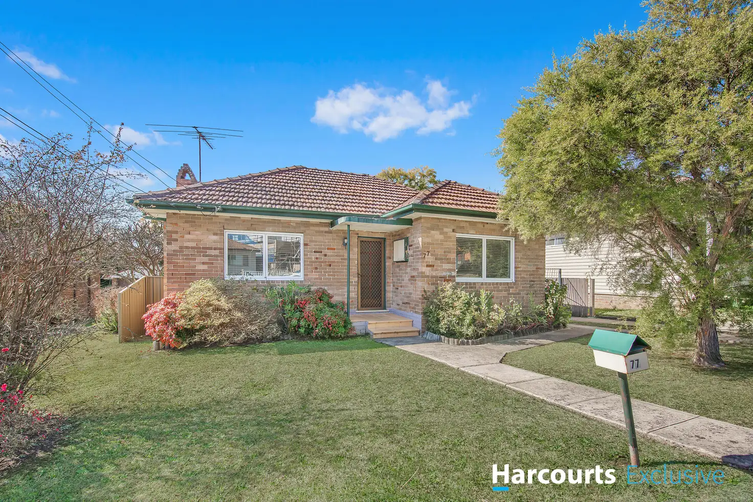 Main view of Homely house listing, 77 Spurway Street, Ermington NSW 2115