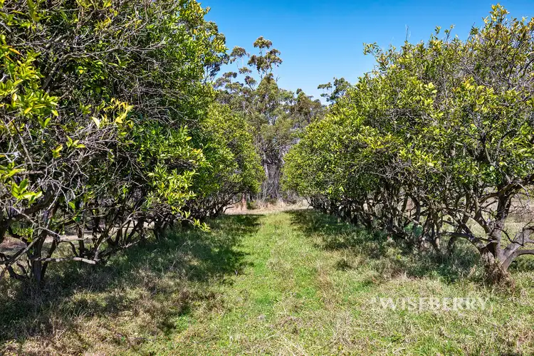 Fourth view of Homely house listing, 130 Tall Timbers Road, Doyalson North NSW 2262