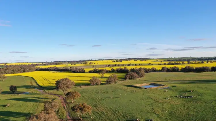 Springhill Road, Cuballing WA 6311