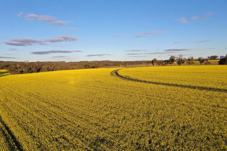 Second view of Homely rural property listing, Springhill Road, Cuballing WA 6311
