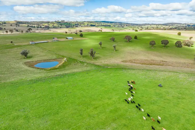 Third view of Homely rural property listing, 382 Snake Creek Road, Garland NSW 2797