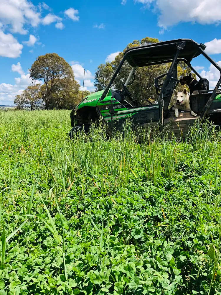 Fourth view of Homely rural property listing, 382 Snake Creek Road, Garland NSW 2797