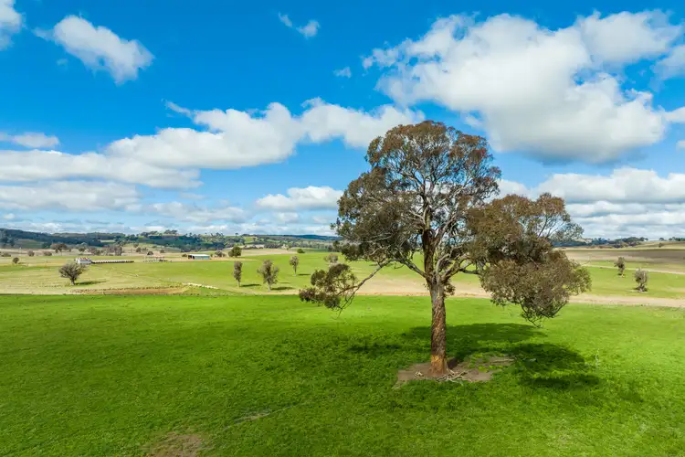 Fifth view of Homely rural property listing, 382 Snake Creek Road, Garland NSW 2797