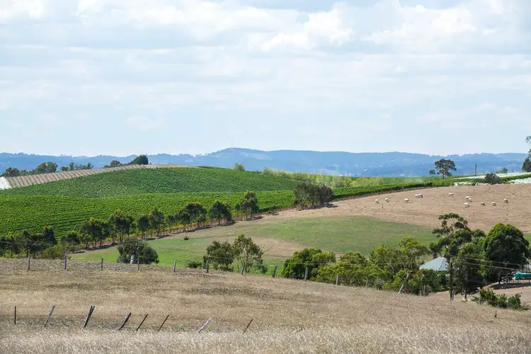 217 Morris Road, Meadows SA 5201