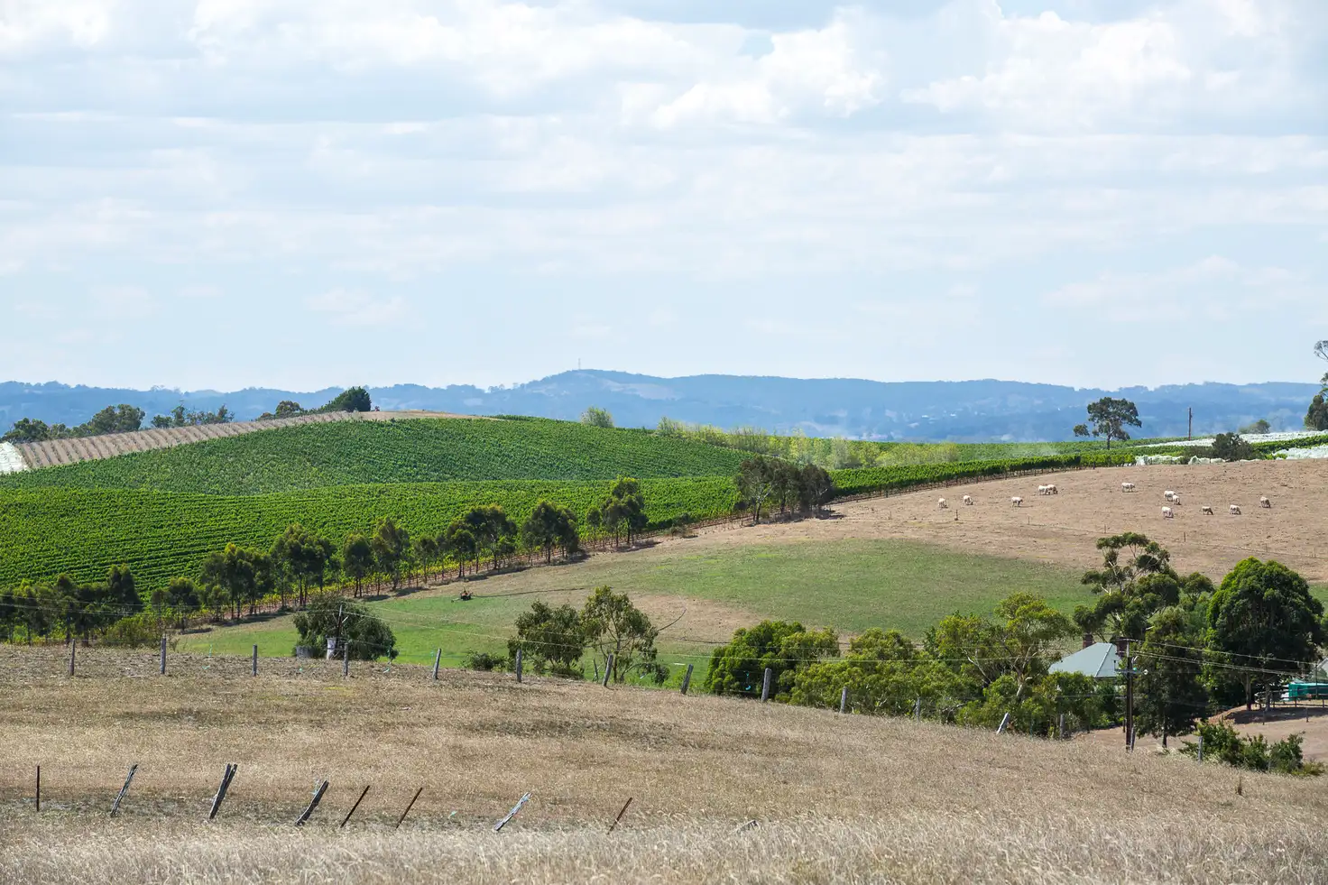 Main view of Homely rural property listing, 217 Morris Road, Meadows SA 5201