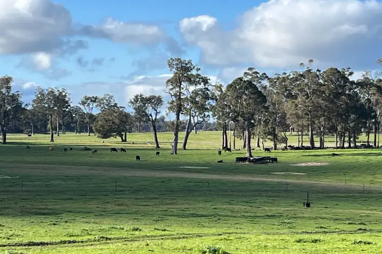 Second view of Homely rural property listing, 88 Gibellinis Road, Manjimup WA 6258