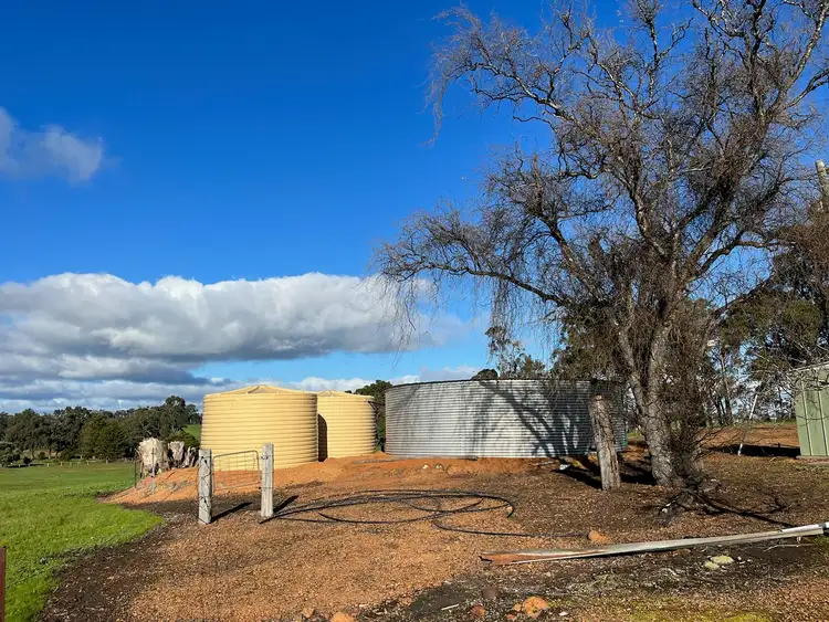 Sixth view of Homely rural property listing, 88 Gibellinis Road, Manjimup WA 6258