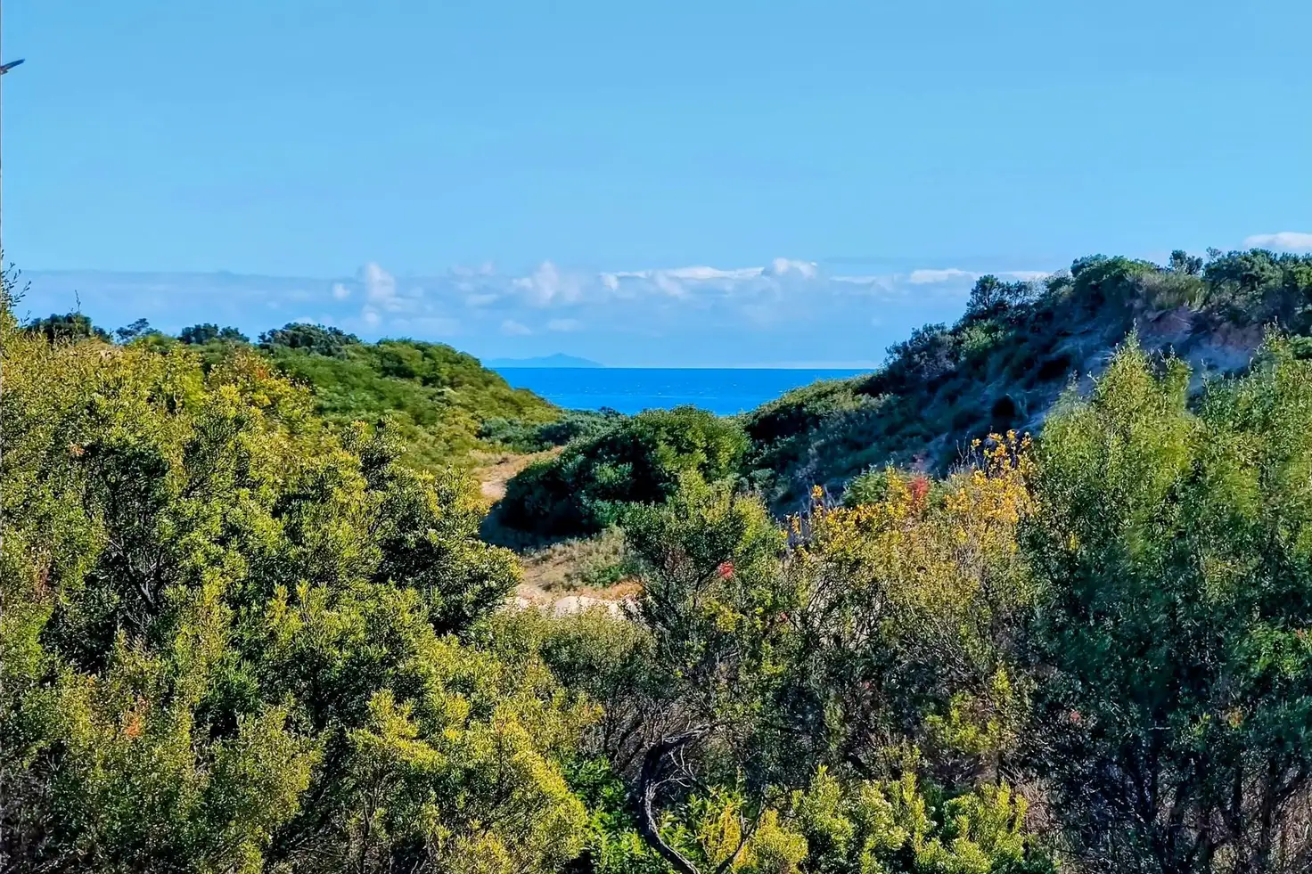 Main view of Homely rural property listing, LOT 1 Edens Road, Palana TAS 7255