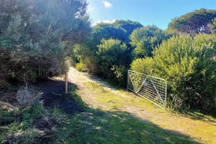 Second view of Homely rural property listing, LOT 1 Edens Road, Palana TAS 7255