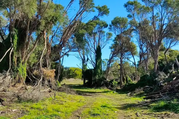 Third view of Homely rural property listing, LOT 1 Edens Road, Palana TAS 7255