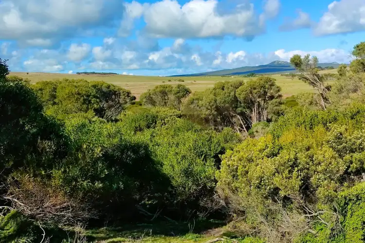 Fourth view of Homely rural property listing, LOT 1 Edens Road, Palana TAS 7255