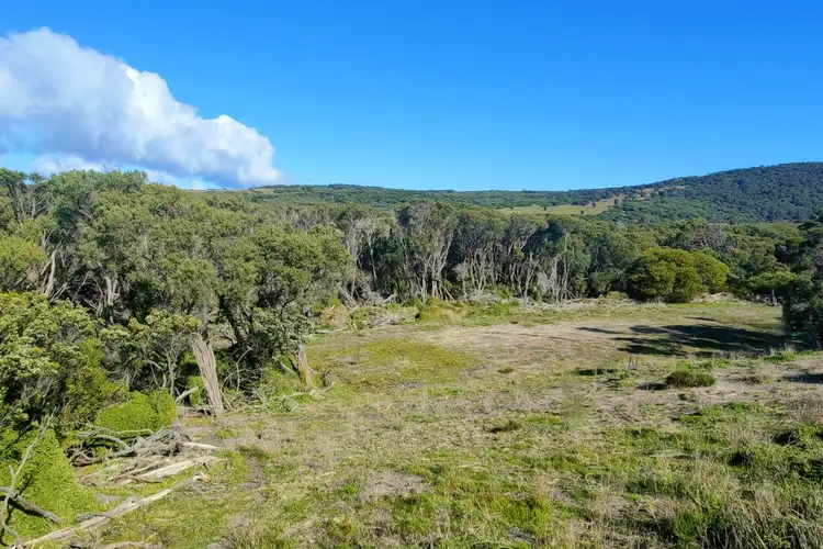 Fifth view of Homely rural property listing, LOT 1 Edens Road, Palana TAS 7255